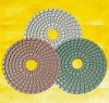 100mm Flexible Wet Polishing Pad