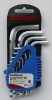 10PC HEX KEY SET (SHORT ARM)