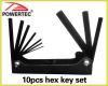 10pcs hex key set