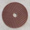 12 2'' Diamond Flexible Polishing Pads for Stone -- DCAU