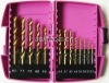13PC Twist Drill Bit Set