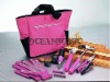 17pcs Lady Tool Kit