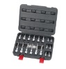 18pcs 1/4"&1/2" Dr. Trx-star socket bit set: