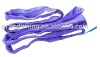 1T polyester round sling