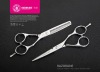 2011 Autumn Promotion--R5 R5T Hair Shear Set