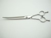2011 New curved blade scissors