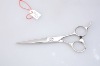 2011 New hair cutting shears