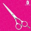 2011 new style hair scissor- R4 beauty scissors