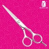 2011 new style hair scissor- R6 beauty scissors