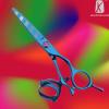 2011 new style hair scissor- R6 beauty scissors