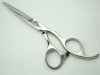 2011 newest hairdressing scissors