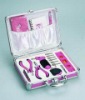 21 PIECE LADY TOOL SET