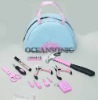 21pcs Lady Tool Kit