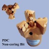 3'' Concave PDC Drill Bit