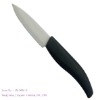 3-inch fruit knife