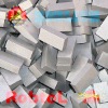 34''(850mm) Diamond segments specially for sandstone---STDC