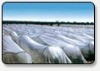 4.2M width agricultural Nonwoven fabric with UV stabilized in stock