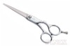 5.5" Chrome-Plated Zinc-Alloy Handles Hairdresser Scissors