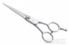 5.5" Chrome-Plated Zinc-Alloy Handles Hairdresser Scissors