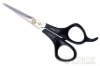 5.5" High Quality ABS Plastic Grip Hair Cutting Shears