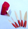 5pcs knife set with block