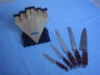 5pcs knife set with block