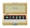 6 PCS router bit set