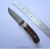 7.5" Utility Camping Knife With Real Buckhorn Handle