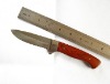 8" Good Quality Hunting Survival Gift Fixed Knife