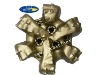 API Great PDC bits