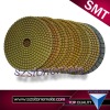 Abrasive Polishing Pad