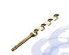 Auger Bit