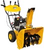 BS Snow Thrower