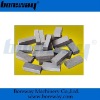 BWM-DS07 Granite diamond segment
