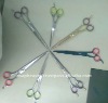 Barber Haircutting Scissor