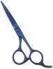 Barber Scissor