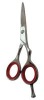 Barber Scissors