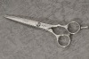 Barber Scissors 2AA-60