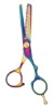 Barber Thinning Shears