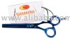 Barber Thinning Shears