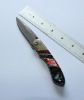 Beauitful Resin Handle Utility Gift Damascus Knife