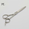 Beauty Hair Cutting Scissors