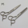 Beauty Hair Cutting Scissors