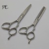 Beauty Hair Scissors