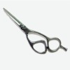 Beauty Hair Scissors (PLF-52AR)