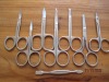 Beauty Scissors GL-MR001