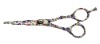 Beauty Shearing Scissors