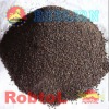 Black Carborundum