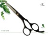 Black Titanium Hair Scissors U-152