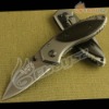 Buck-X11 Stainless Steel Multi functional Pocket Knife DZ-934